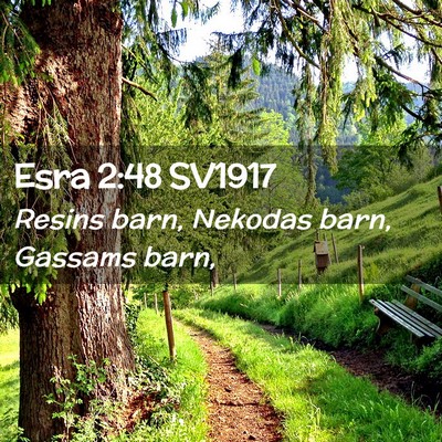 Picture 02 - Esra 2:48 SV1917 - Resins barn, Nekodas barn, Gassams - Bible Verse Picture