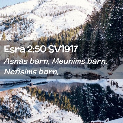 Picture 02 - Esra 2:50 SV1917 - Asnas barn, Meunims barn, Nefisims - Bible Verse Picture
