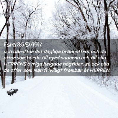 Picture 02 - Esra 3:5 SV1917 - och därefter det dagliga brännoffret och de - Bible Verse Picture