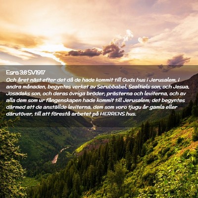 Picture 02 - Esra 3:8 SV1917 - Och året näst efter det då de hade kommit till - Bible Verse Picture