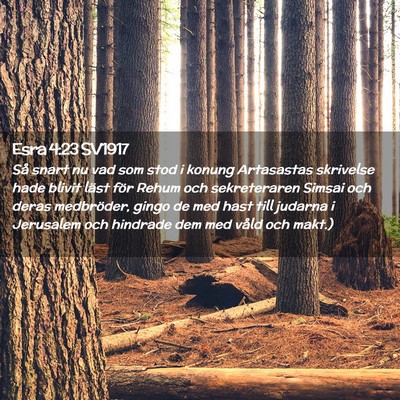 Picture 02 - Esra 4:23 SV1917 - Så snart nu vad som stod i konung Artasastas - Bible Verse Picture
