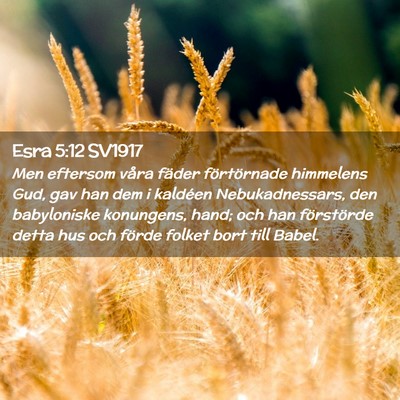 Picture 02 - Esra 5:12 SV1917 - Men eftersom våra fäder förtörnade himmelens - Bible Verse Picture