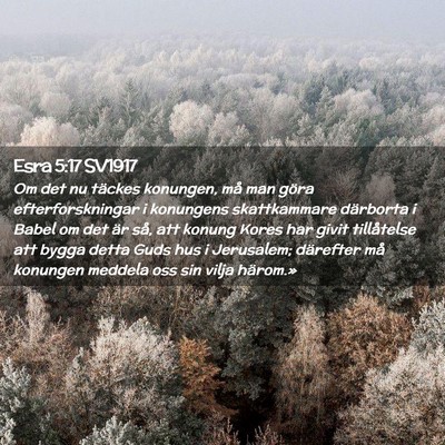 Picture 02 - Esra 5:17 SV1917 - Om det nu täckes konungen, må man göra - Bible Verse Picture