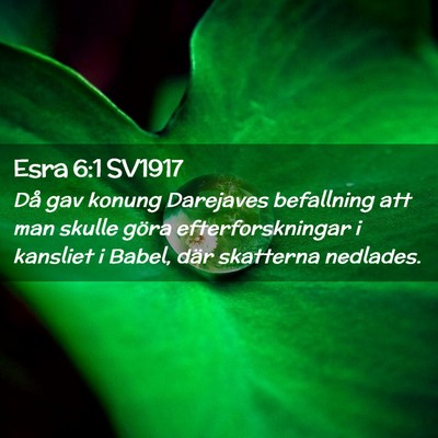 Picture 02 - Esra 6:1 SV1917 - Då gav konung Darejaves befallning att man - Bible Verse Picture