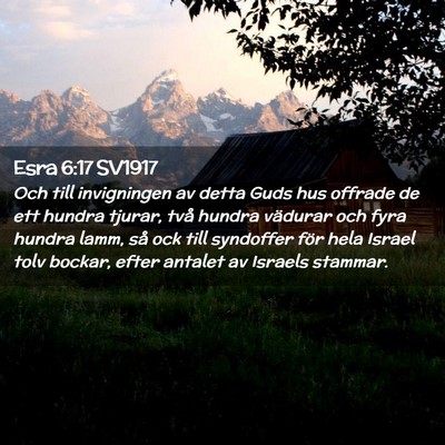 Picture 02 - Esra 6:17 SV1917 - Och till invigningen av detta Guds hus offrade de - Bible Verse Picture