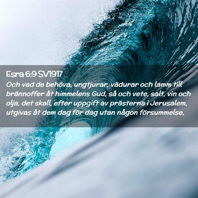 Picture 02 - Esra 6:9 SV1917 - Och vad de behöva, ungtjurar, vädurar och lamm - Bible Verse Picture
