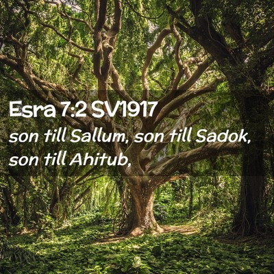 Picture 02 - Esra 7:2 SV1917 - son till Sallum, son till Sadok, son till - Bible Verse Picture