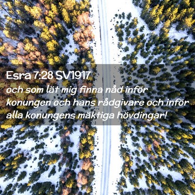 Picture 02 - Esra 7:28 SV1917 - och som lät mig finna nåd inför konungen och - Bible Verse Picture