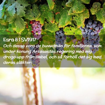 Picture 02 - Esra 8:1 SV1917 - Och dessa voro de huvudmän för familjerna, som - Bible Verse Picture