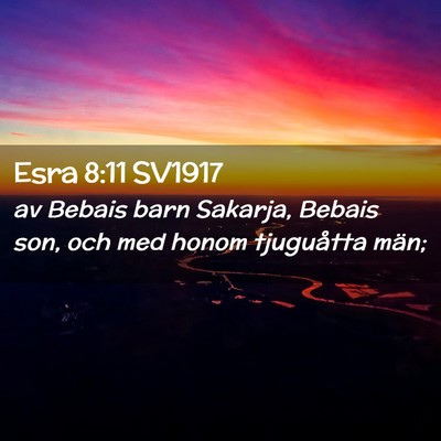Picture 02 - Esra 8:11 SV1917 - av Bebais barn Sakarja, Bebais son, och med honom - Bible Verse Picture