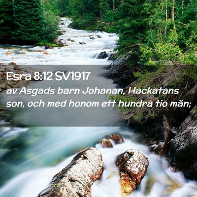 Picture 02 - Esra 8:12 SV1917 - av Asgads barn Johanan, Hackatans son, och med - Bible Verse Picture