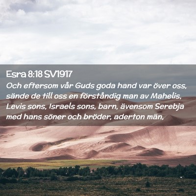 Picture 02 - Esra 8:18 SV1917 - Och eftersom vår Guds goda hand var över oss, - Bible Verse Picture