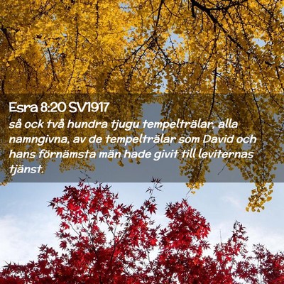 Picture 02 - Esra 8:20 SV1917 - så ock två hundra tjugu tempelträlar, alla - Bible Verse Picture