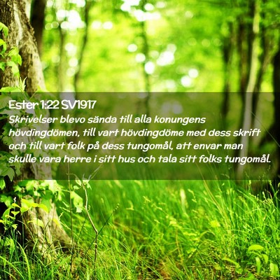 Picture 02 - Ester 1:22 SV1917 - Skrivelser blevo sända till alla konungens - Bible Verse Picture