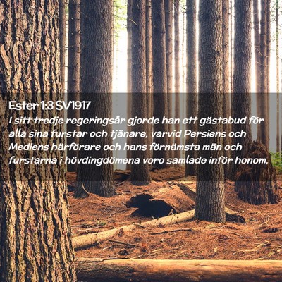 Picture 02 - Ester 1:3 SV1917 - I sitt tredje regeringsår gjorde han ett - Bible Verse Picture