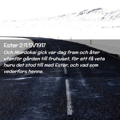 Picture 02 - Ester 2:11 SV1917 - Och Mordokai gick var dag fram och åter utanför - Bible Verse Picture