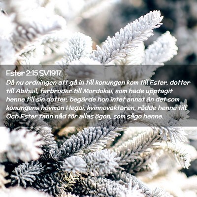 Picture 02 - Ester 2:15 SV1917 - Då nu ordningen att gå in till konungen kom - Bible Verse Picture