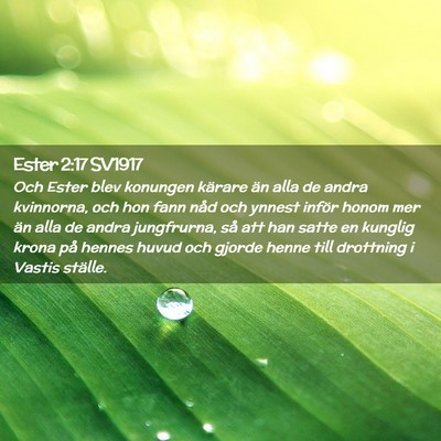 Picture 02 - Ester 2:17 SV1917 - Och Ester blev konungen kärare än alla de andra - Bible Verse Picture