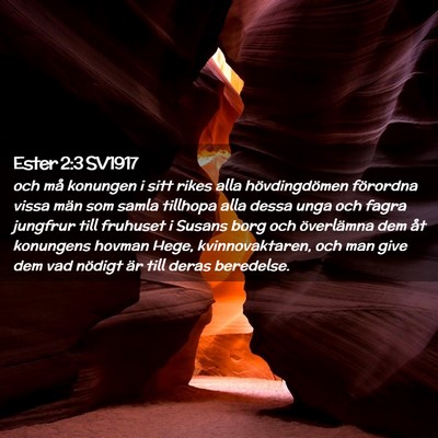 Picture 02 - Ester 2:3 SV1917 - och må konungen i sitt rikes alla hövdingdömen - Bible Verse Picture