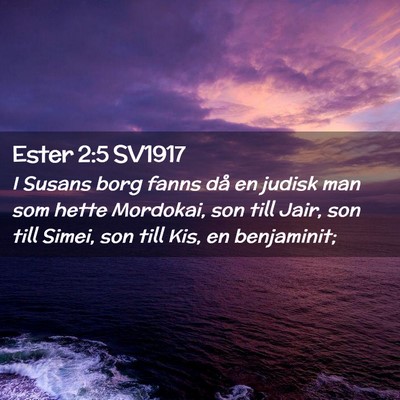 Picture 02 - Ester 2:5 SV1917 - I Susans borg fanns då en judisk man som hette - Bible Verse Picture