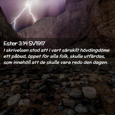 Picture 02 - Ester 3:14 SV1917 - I skrivelsen stod att i vart särskilt - Bible Verse Picture