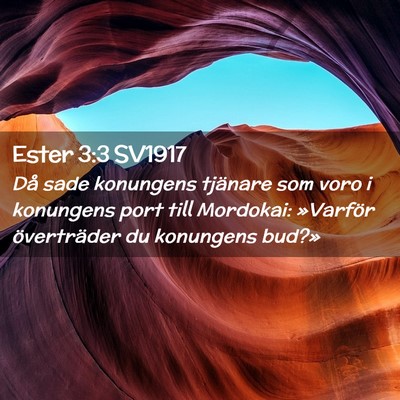 Picture 02 - Ester 3:3 SV1917 - Då sade konungens tjänare som voro i konungens - Bible Verse Picture