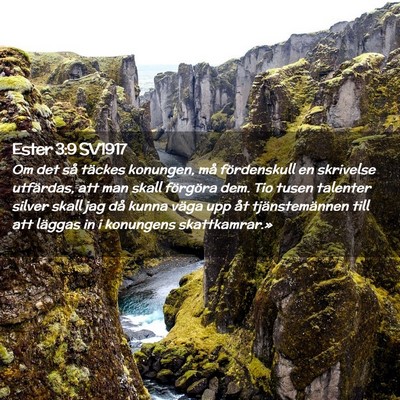 Picture 02 - Ester 3:9 SV1917 - Om det så täckes konungen, må fördenskull en - Bible Verse Picture