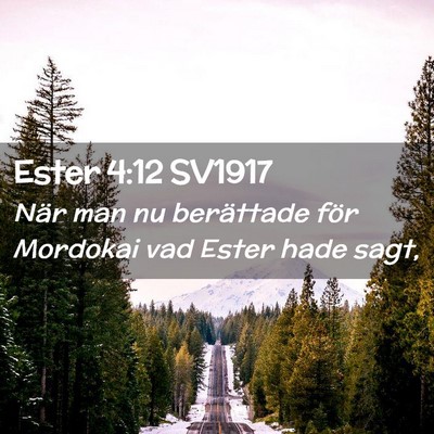 Picture 02 - Ester 4:12 SV1917 - När man nu berättade för Mordokai vad Ester - Bible Verse Picture