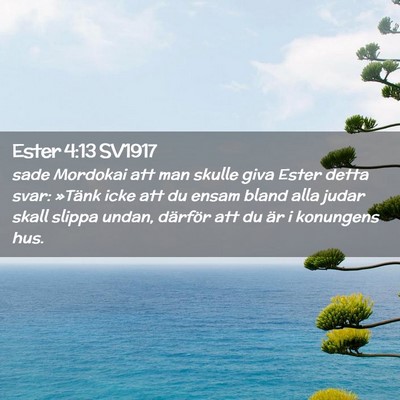 Picture 02 - Ester 4:13 SV1917 - sade Mordokai att man skulle giva Ester detta - Bible Verse Picture