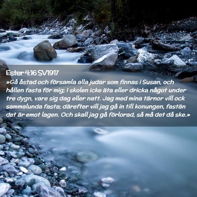 Picture 02 - Ester 4:16 SV1917 - »Gå åstad och församla alla judar som finnas - Bible Verse Picture