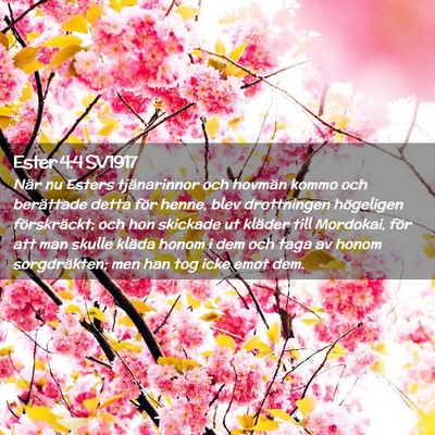 Picture 02 - Ester 4:4 SV1917 - När nu Esters tjänarinnor och hovmän kommo och - Bible Verse Picture