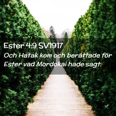 Picture 02 - Ester 4:9 SV1917 - Och Hatak kom och berättade för Ester vad - Bible Verse Picture