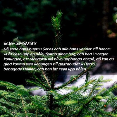 Picture 02 - Ester 5:14 SV1917 - Då sade hans hustru Seres och alla hans vänner - Bible Verse Picture