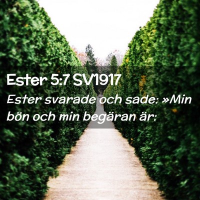 Picture 02 - Ester 5:7 SV1917 - Ester svarade och sade: »Min bön och min - Bible Verse Picture