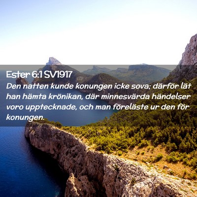 Picture 02 - Ester 6:1 SV1917 - Den natten kunde konungen icke sova; därför - Bible Verse Picture