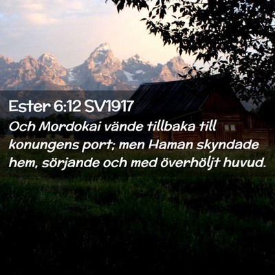 Picture 02 - Ester 6:12 SV1917 - Och Mordokai vände tillbaka till konungens port; - Bible Verse Picture