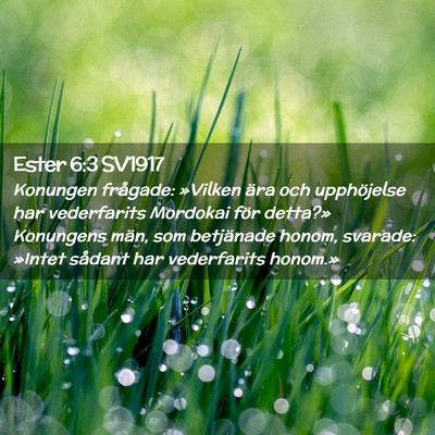 Picture 02 - Ester 6:3 SV1917 - Konungen frågade: »Vilken ära och upphöjelse - Bible Verse Picture