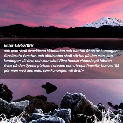 Picture 02 - Ester 6:9 SV1917 - och man skall överlämna klädnaden och hästen - Bible Verse Picture