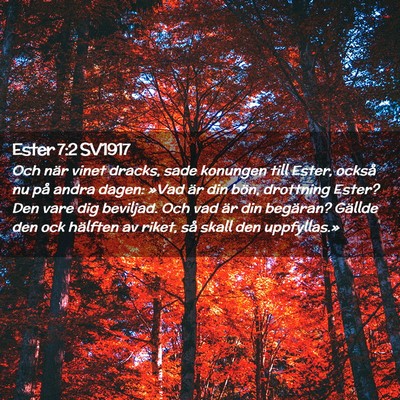 Picture 02 - Ester 7:2 SV1917 - Och när vinet dracks, sade konungen till Ester, - Bible Verse Picture