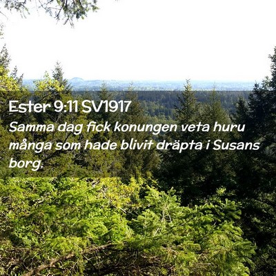 Picture 02 - Ester 9:11 SV1917 - Samma dag fick konungen veta huru många som hade - Bible Verse Picture