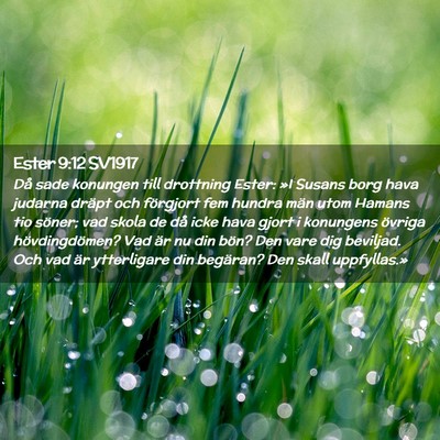 Picture 02 - Ester 9:12 SV1917 - Då sade konungen till drottning Ester: »I - Bible Verse Picture