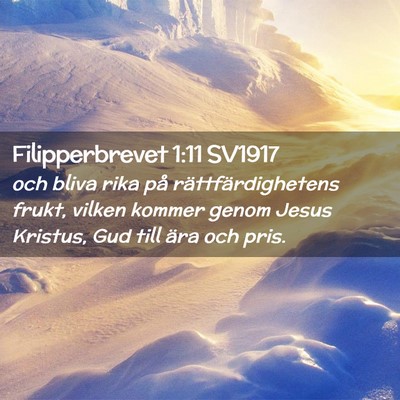 Picture 02 - Filipperbrevet 1:11 SV1917 - och bliva rika på rättfärdighetens frukt, - Bible Verse Picture