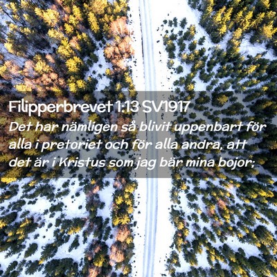 Picture 02 - Filipperbrevet 1:13 SV1917 - Det har nämligen så blivit uppenbart för alla - Bible Verse Picture