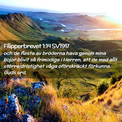 Picture 02 - Filipperbrevet 1:14 SV1917 - och de flesta av bröderna hava genom mina bojor - Bible Verse Picture