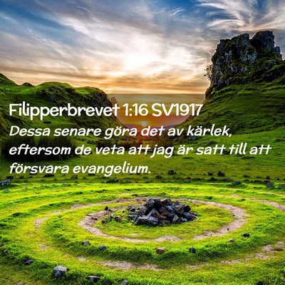 Picture 02 - Filipperbrevet 1:16 SV1917 - Dessa senare göra det av kärlek, eftersom de - Bible Verse Picture
