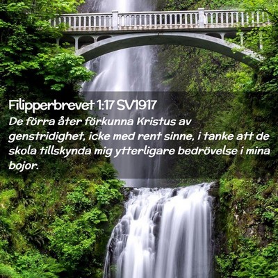 Picture 02 - Filipperbrevet 1:17 SV1917 - De förra åter förkunna Kristus av - Bible Verse Picture
