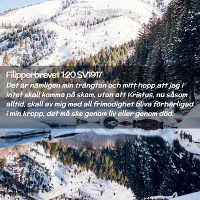 Picture 02 - Filipperbrevet 1:20 SV1917 - Det är nämligen min trängtan och mitt hopp att - Bible Verse Picture