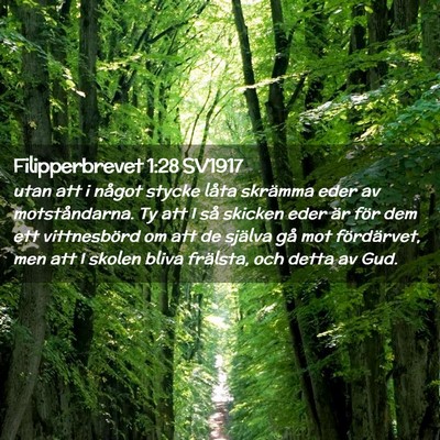 Picture 02 - Filipperbrevet 1:28 SV1917 - utan att i något stycke låta skrämma eder av - Bible Verse Picture