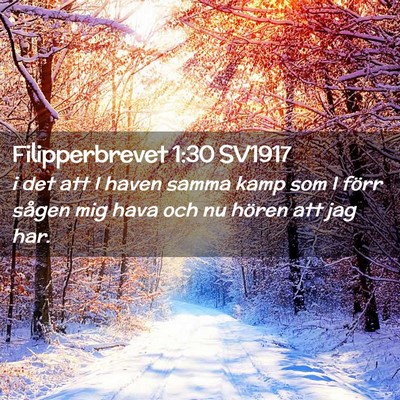 Picture 02 - Filipperbrevet 1:30 SV1917 - i det att I haven samma kamp som I förr sågen - Bible Verse Picture
