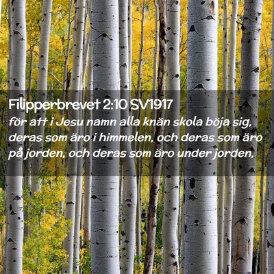 Picture 02 - Filipperbrevet 2:10 SV1917 - för att i Jesu namn alla knän skola böja sig, - Bible Verse Picture